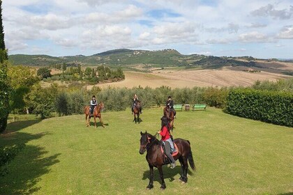 Horseback riding through the vineyards in Montepulciano Tuscany