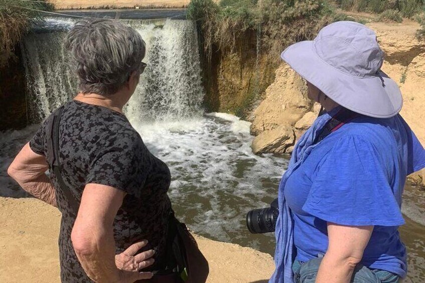 Fayoum full Day Tour from Cairo