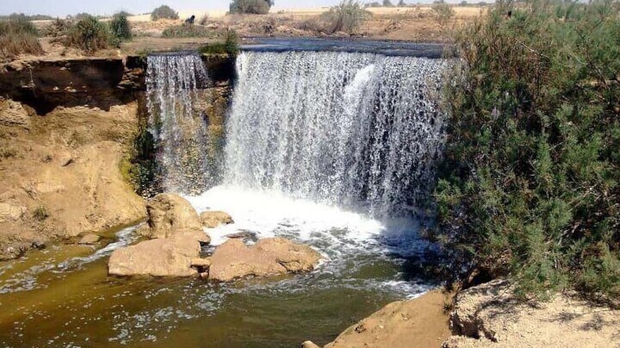 Fayoum full Day Tour from Cairo