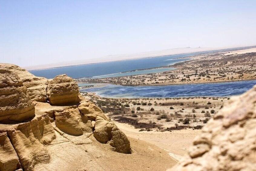 Fayoum full Day Tour from Cairo