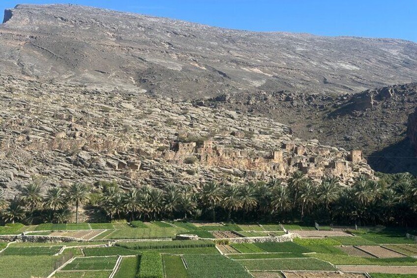 Nizwa and Jebel Shams Full Day Tour