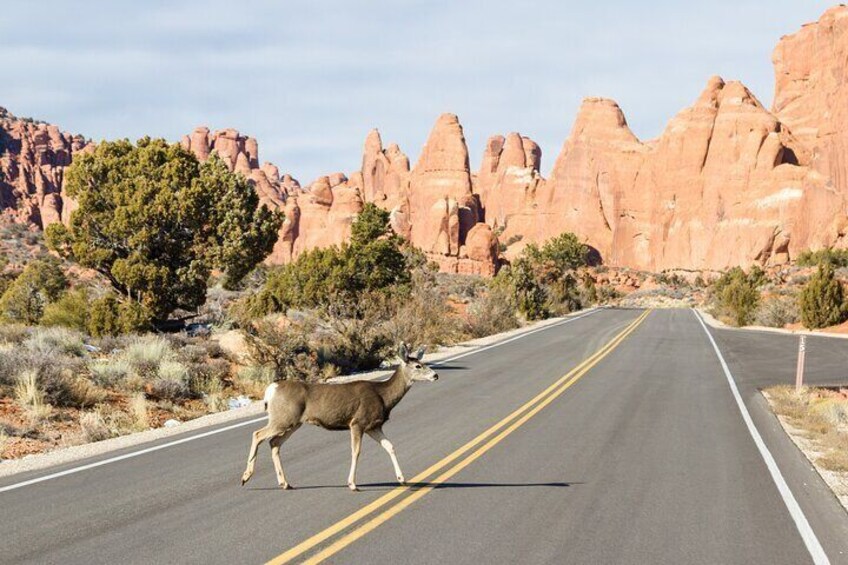 Arches and Canyonlands National Parks Self-Driving Bundle Tour