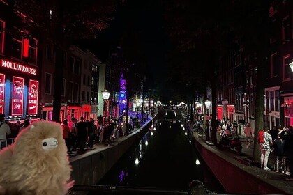 Visita guiada privada a pie de la luz roja y cafetería de Ámsterdam