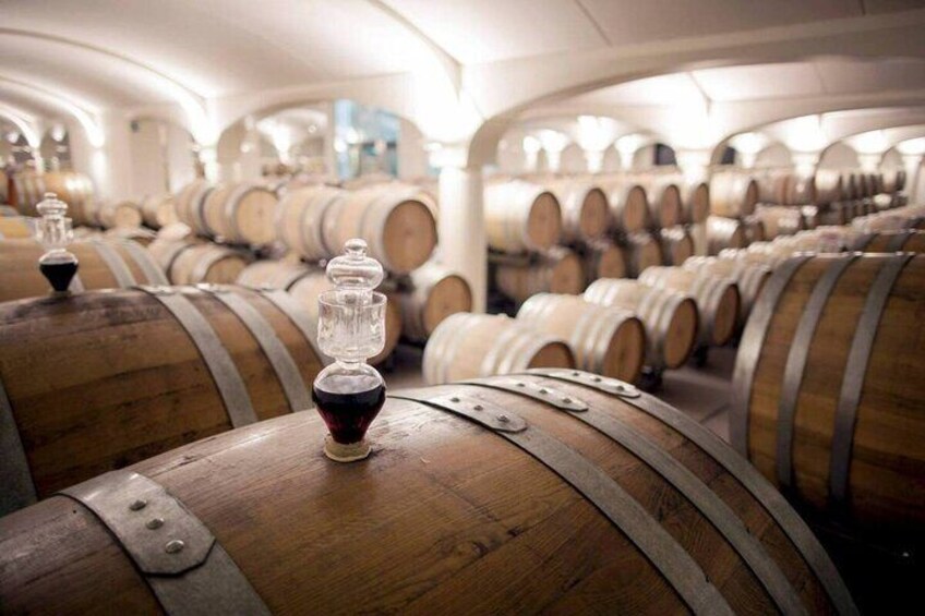 WINE EXPERIENCE & DOZZA - Private Day Tour from Ravenna