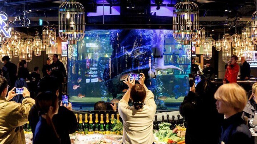 Unique Tokyo Dining with Live Ama Diving