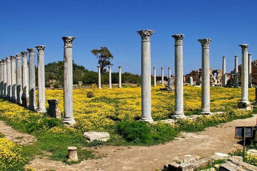 Famagusta and Salamis Coach Tour in Italian