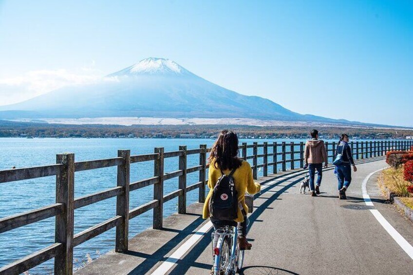 Tokyo: Mount Fuji One Day Trip Lake Kawaguchi & Lake Yamanaka