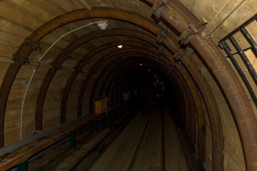 Skip-the-line Salt Mine Salzwelten Salzburg Private Car Tour