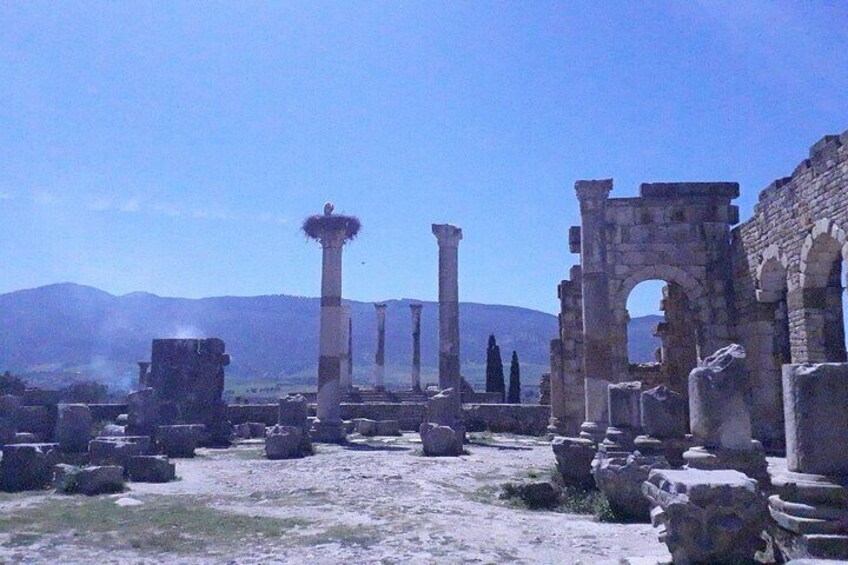 Day Trip from Casablanca to Meknes and Volubilis