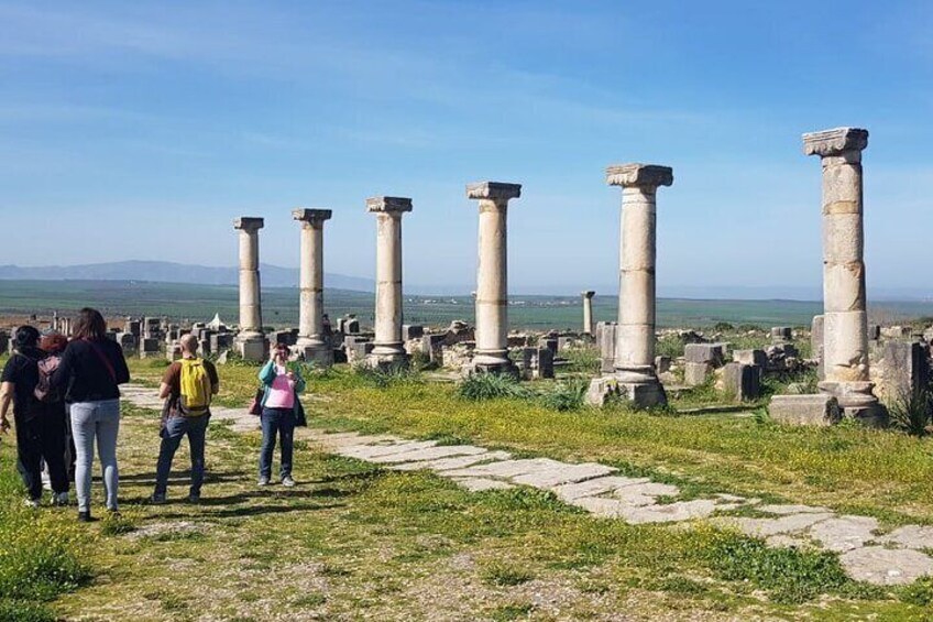 Day Trip from Casablanca to Meknes and Volubilis