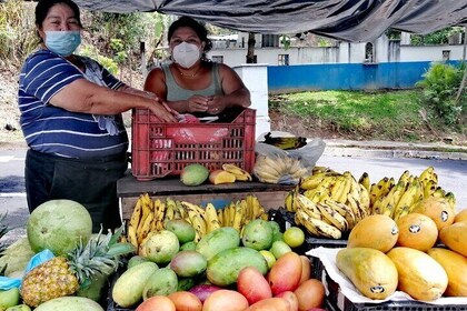 Half-Day Cultural Tour to Punta Cana for Small Groups