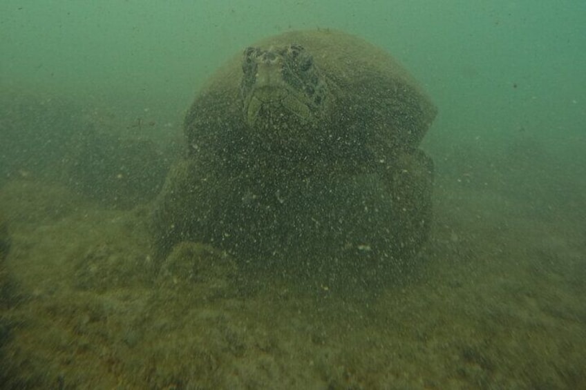 Tour 360 San Cristobal Galapagos