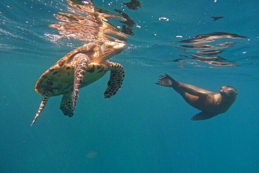Tour 360 San Cristobal Galapagos