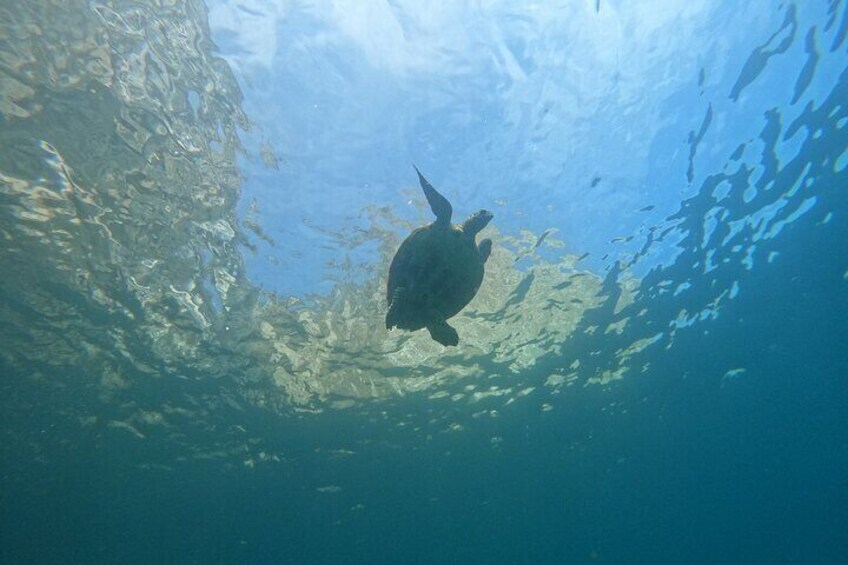 Tour 360 San Cristobal Galapagos