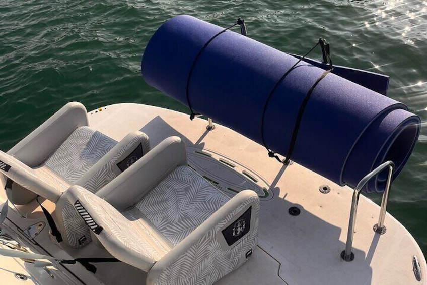 Party Boat Services in Chicago