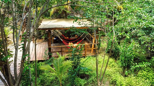 Belanja di Tulum Tur dengan Berenang di Cenote Nohoch
