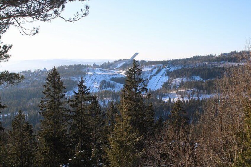 Panoramic Peaks and Oslo’s Best Fjord Views Hike