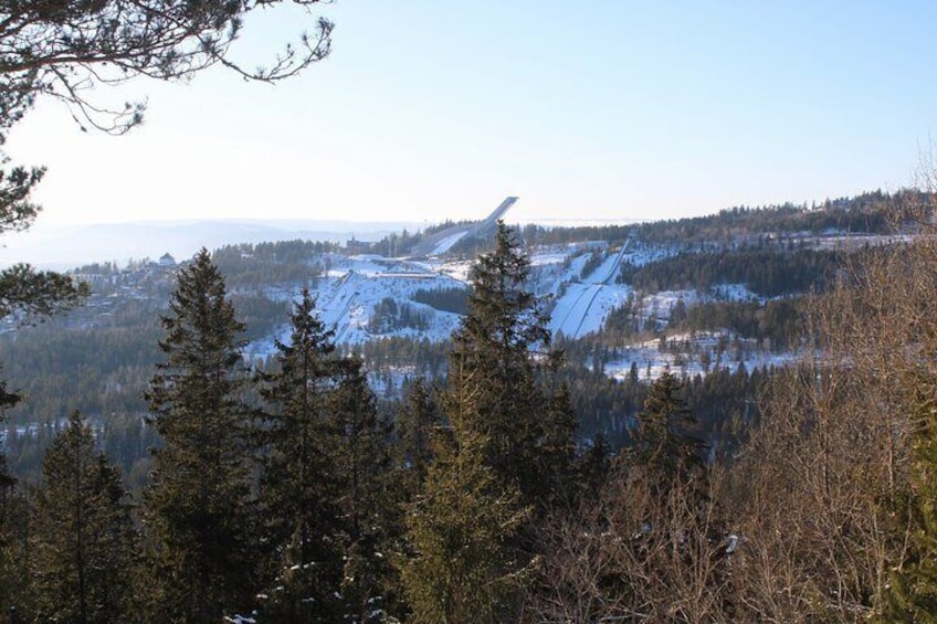 Panoramic Peaks and Oslo’s Best Fjord Views Hike