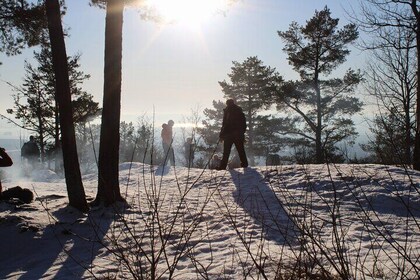 Panoramic Peaks and Oslo’s Best Fjord Views Hike