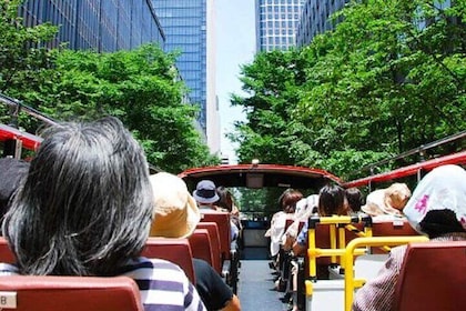 Hop-On Hop-Off Tokyo Bus by Skyhop Bus
