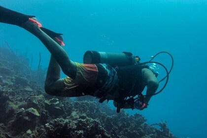 Rosario Island Overnight Scuba Dive Snorkel Paddle Board and More