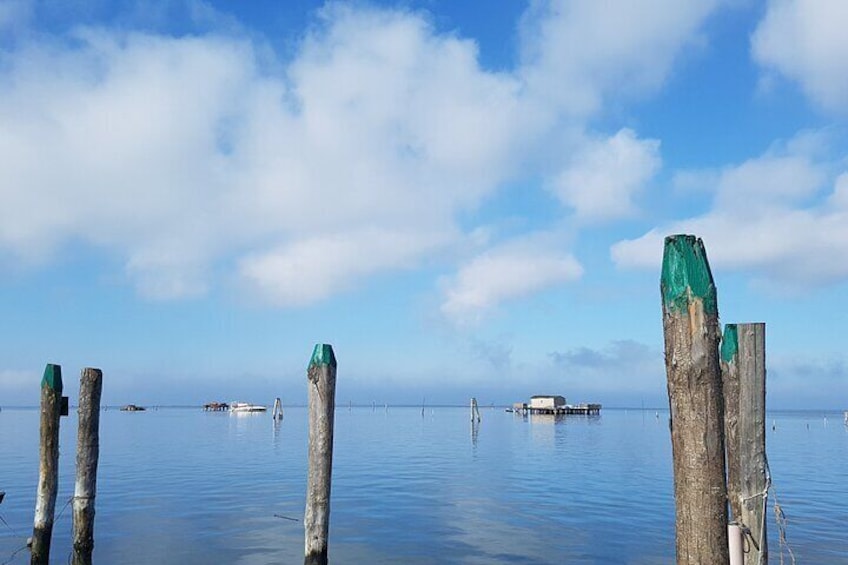  Venice Lagoon Picnic Boat Tour