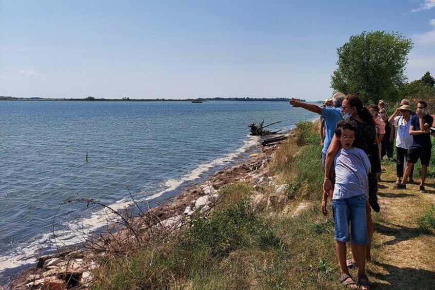  Venice Lagoon Picnic Boat Tour