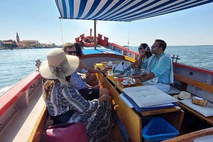 Venice Lagoon Picnic Boat Tour