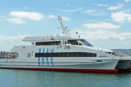 Robben Island and Cape Point Private Tour