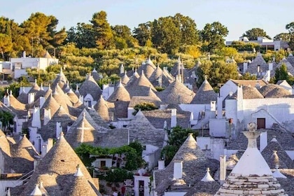 Privat tur i 3 byer: Alberobello, Locorotondo, Ostuni.