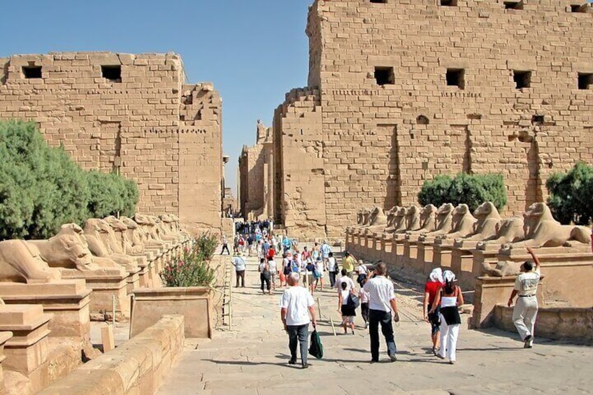 Experience Luxor’s Best: East & West Bank Full-Day Guided Tour