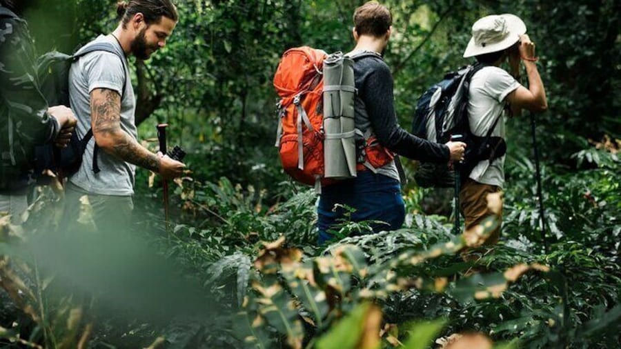 Shanghai to Suzhou Tai Lake and Guangfu Peak Private Hiking Tour