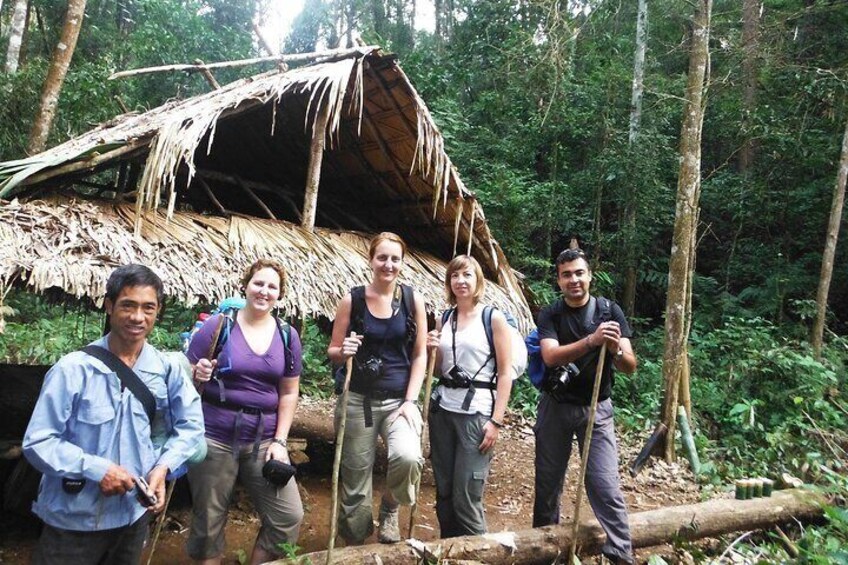 in the jungle camp