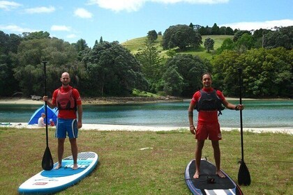 Coromandel Paddle Boarding Experience
