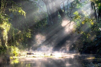 Private Hangzhou Car and Walking Tour