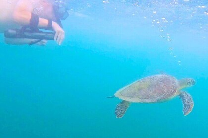 Swim with Sea Turtles in San Juan Water Scooter Snorkeling
