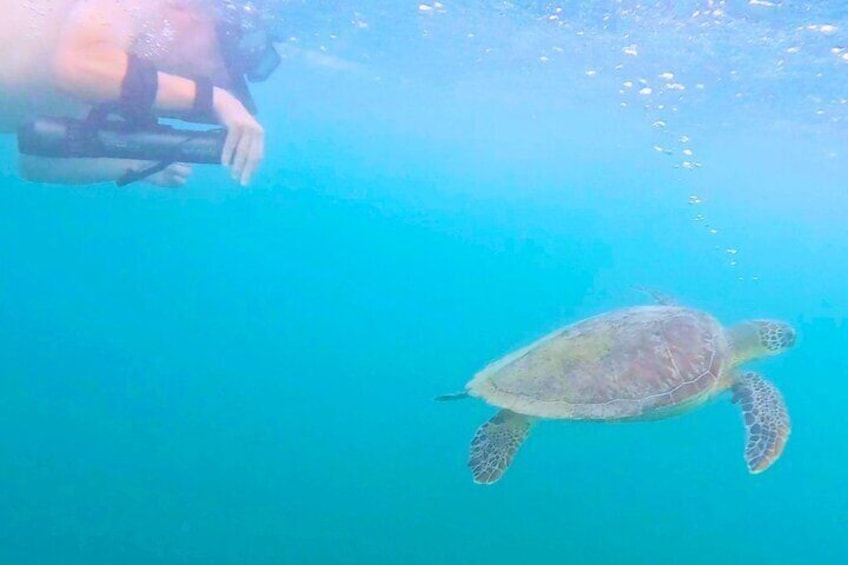 Swim with Sea Turtles in San Juan Water Scooter Snorkeling