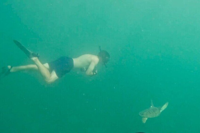 Swim with Sea Turtles in San Juan Water Scooter Snorkeling