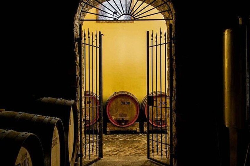 Naples Tuk Tuk Experience Views and Vineyards