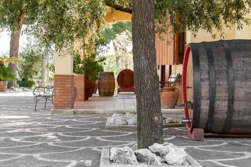 Naples Tuk Tuk Experience Views and Vineyards