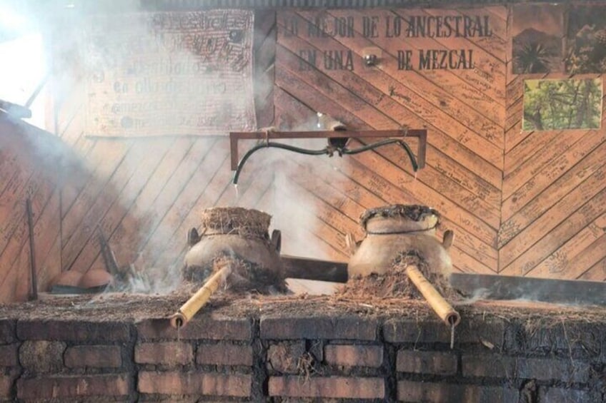 Palenque de Mezcal