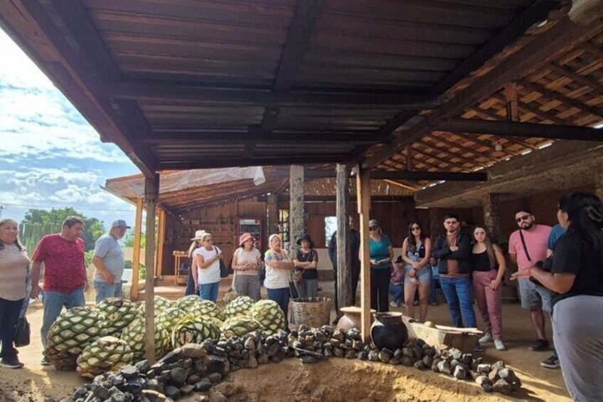 Palenque de mezcal