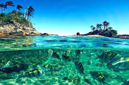 Paradise Islands in Angra dos Reis Private Boat Route