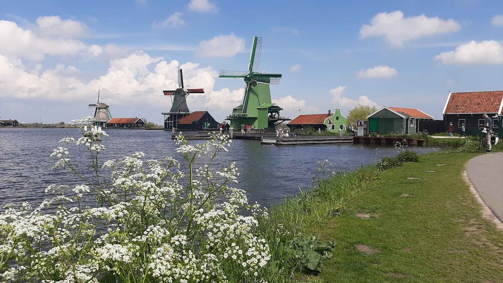 Picture 1 for Activity Amsterdam: Zaanse Schans Windmills Guided Tour