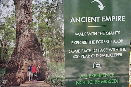 2 Day Tour Busselton Jetty, Ngilgi Cave to Valley of the Giants