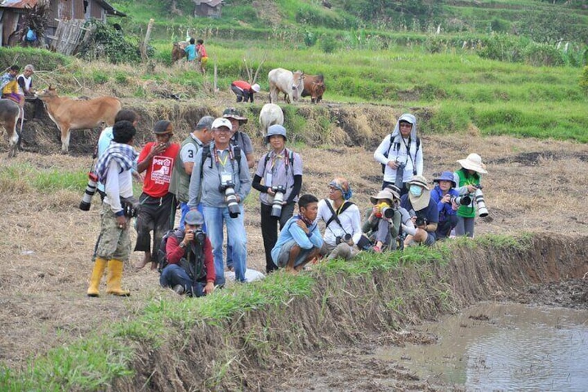 West Sumatra Private Tour from Padang By Private Car