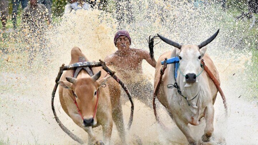 West Sumatra Private Tour from Padang By Private Car