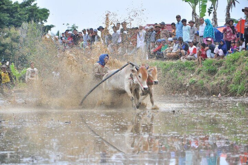 West Sumatra Private Tour from Padang By Private Car