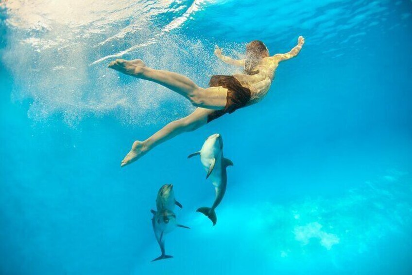 Hurghada Dolphin Watching and Snorkeling Adventure with Lunch