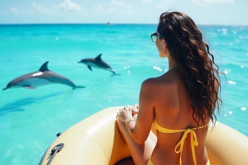 Hurghada Dolphin Watching and Snorkeling Adventure with Lunch